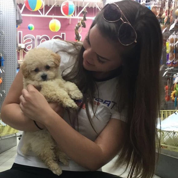 Meet your Posher, Alex - Picture 3 of 5